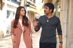 Manmadhudu 2 movie review, Manmadhudu 2 movie rating, manmadhudu 2 movie review rating story cast and crew, Manmadhudu 2