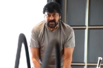 Chiranjeevi next movie, Chiranjeevi news, megastar chiranjeevi is back to work, Trisha krishnan