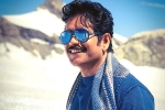 Nagarjuna news, Nagarjuna new movie, nag in a bollywood remake, Manmadhudu 2