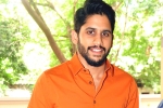 Naga Chaitanya news, Naga Chaitanya latest, naga chaitanya signs a new flick, Premam