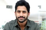 Naga Chaitanya, Naga Chaitanya interview, naga chaitanya coming up with a strong lineup of films, Naandhi