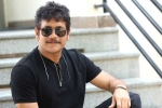 Nagarjuna, Nagarjuna next movie, nagarjuna s 100th film locked, Bangarraju