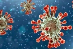 China Covid Row reports, India coronavirus, new china coronavirus variant traced in india, China covid row