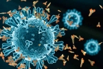 XEC Covid Variant news, XEC Covid Variant new updates, new xec covid variant detected in 27 countries, Omicron