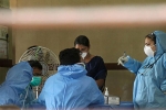 Nipha Virus effects, Nipha virus in hyderabad, nipah virus alerts hyderabad with symptoms from two suspected victims, Nipah viru
