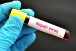 Nipah Virus death rate, Nipah Virus death rate, nipah virus is back again two deaths registered, Nipah viru