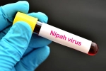 Nipah Virus, Nipah Virus symptoms, nipah virus is back again two deaths registered, Nipah viru