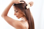 Healthy Hair breaking, Healthy Hair latest, nutrition tips for a healthy hair, Hair care