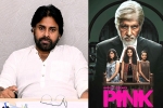 Pawan Kalyan, Pawan Kalyan, powerstar in talks for pink remake, Pink remake
