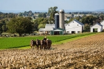 U.S.-China Trade War, Pennsylvania, pennsylvania farmers anxiously keep an eye on u s china trade war, China u s trade war