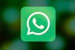 Facebook, WhatsApp, why are people leaving whatsapp here s why, Messaging application
