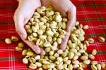 Pistachios, Pistachios rich in proteins, pistachios are a perfect protein snack, Vitamins