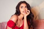 Pooja Hegde flops, Pooja Hegde next film, pooja hegde in talks for a biggie, Ssmb28