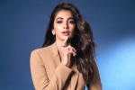 Pooja Hegde new movies, Pooja Hegde upcoming films, pooja hegde lines up bollywood films, Guntur kaaram