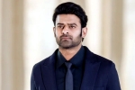 Prabhas upcoming films, People Media Factory, new updates of prabhas and maruthi film, Boman irani