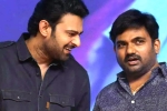 Prabhas and Maruthi film new title, Prabhas and Maruthi film, new title for prabhas and maruthi film, Nidhhi agerwal