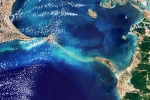 Ram Setu pictures breaking, Ram Setu pictures new breaking, ram setu s pictures from the space, Ram setu