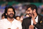 rana daggubati age, baahubali, prabhas was the pillar of baahubali says rana daggubati, Housefull 3