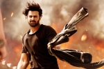 Shraddha Kapoor, Saaho news, saaho ten days telugu states collections, Neil nitin mukesh