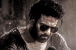 Salaar 2 shooting news, Hombale Films, new update from salaar 2, Shruti haasan