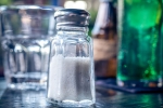 poison in Sambhar Refined Salt, Sambhar Refined Salt, your table salt may contain poison claims activist, Sambha