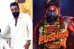 Allu Arjun, Pushpa: The Rule breaking, sanjay dutt s surprise in pushpa the rule, Sukumar