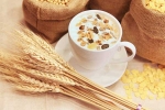 sawan somvar vrat 2019 date, Sawan Somvar Vrat rules, sawan somvar vrat here s why you shouldn t eat oats during this holy vrat, Sabudana