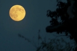 Supermoon 2025 latest breaking, Supermoon 2025 new updates, science behind supermoon explained, Supermoon 2025