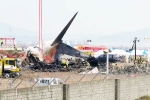 South Korea Plane Crash latest, South Korea Plane Crash reason, pilot made mayday call and mentioned bird strike in south korea plane crash, Kidding