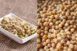 Sprouts, Boiled Chana, sprouts vs boiled chana for weight loss, Workout