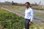 organic farming, Aditya Gaddh, this u s return mba graduate is transforming a village barren land into an organic farming facility, Organic farming