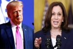 US Presidential Polls results, US Presidential Polls updates, ai predictions on us presidential polls, Mysterious