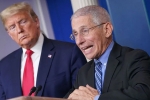 Donald Trump, Donald Trump, us could start reopening in may anthony fauci, Andrew cuomo