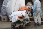 USA Coronavirus reports, USA Coronavirus new cases, usa coronavirus deaths reaches 9 lakhs, Usa coronavirus new