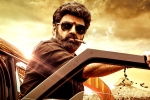 Veera Simha Reddy collections, Veera Simha Reddy news, veera simha reddy sankranthi weekend collections, Veera simha reddy