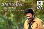 Saindhav release news, Venkatesh, venkatesh s saindhav locks new release date, Saindhav