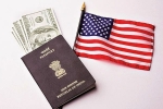Green Card, Green Card, work permit of h1b visa holder s spouses will be refused, H1b visa