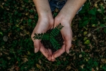 recycle, earth, what can you do to save earth, New born