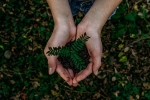 recycle, planet, what can you do to save earth, Greta thunberg