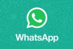 WhatsApp Native iPad App, WhatsApp Native iPad App latest, whatsapp s native ipad app to release soon, Iphone
