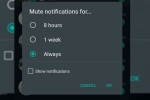 wallpaper, chats, whatsapp to bring always mute option for chats on android, Android phone