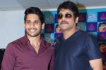 Naga Chaitanya, Nagarjuna news, akkineni fans to have a double treat, Saahasam swaasaga saagipo