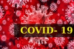 Coronavirus, World Health Organization, who renames the deadly coronavirus as covid 19, Snakes Coronavirus, World Health Organization, who renames the deadly coronavirus as covid 19, Snakes