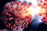 coronavirus in China, Covid-19 in China breaking updates, new and highly infectious covid 19 variant emerges in china, New coronavirus variant