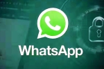 iOS Testing Multi-Account Support for WhatsApp, iOS Testing Multi-Account Support for WhatsApp breaking news, whatsapp for ios testing multi account support, Messi