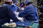 David Bennett heart transplant, David Bennett, us surgeons transplant pig heart into a human patient, Transplants