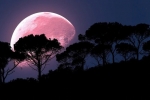 super pink moon, coronavirus, april s super pink moon to rise today biggest of the year, Supermoon