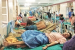low iron levels in blood, high iron levels in blood, people with low iron levels in blood likely to transmit dengue, Dengue patients