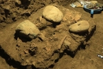 7200 year old human remains found, 7200 year old human remains, remains of a teenager who died 7200 years found, Sulawesi