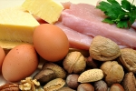 protein rich foods, tissues, why protein is an important part of your healthy diet, Healthy fats